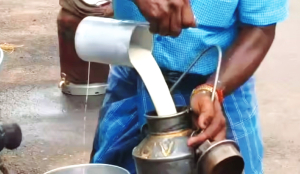 12 die in suspected milk adulteration in Andhra