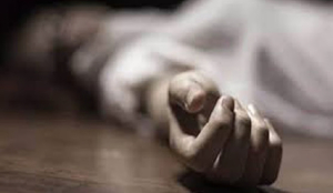 12 year old schoolgirl dies after e rickshaw collides with bus near Majlis Park metro