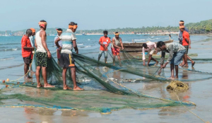 2,661 fishermen repatriated from Pak since 2014: Govt