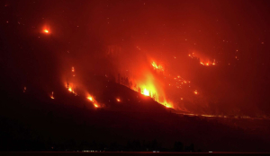 20,000 flee as British Columbia wildfire grows overnight despite calm winds