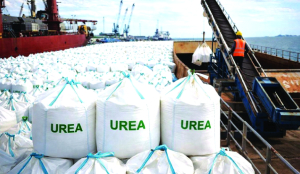 2nd global tender issued for 70 lakh tonnes of urea imports