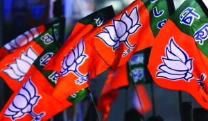 3 BJP RS nominees file papers