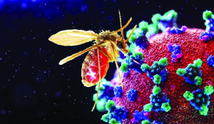 3 kids die of Chandipura virus in Gujarat
