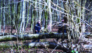 3 killed as high winds topple tree at Easter egg hunt in Germany