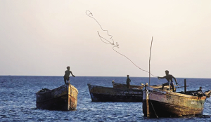 4 Indian fishermen arrested for alleged poaching in Lanka