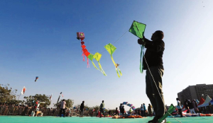 4 killed across Gujarat in kite-flying accidents