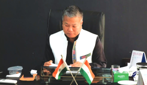 45 villages yet to be electrified in Mizoram, says Minister