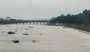 450 houses inundated in Jharkhand as rivers swell