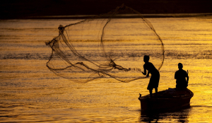 469 fishermen dead, 160 missing in 11 years off Kerala coast: Govt