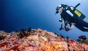 5 Italian divers killed in Maldives Cave Dive accident, Search underway