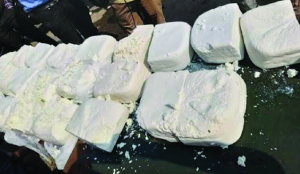 508 kg spurious paneer destroyed at Okhla Mandi