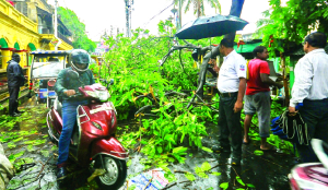 7 killed in lightning strikes across Bihar