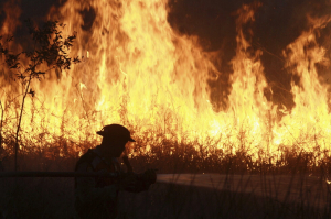 72 held in Indonesia forest fire probe as haze spreads to Malaysia