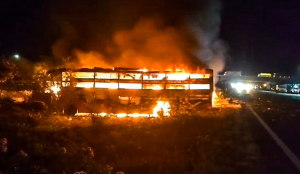 8 killed, 24 injured as bus crashes into truck on Delhi-Mumbai Expressway