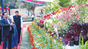 8th Indian Oil Flower Show begins in Noida