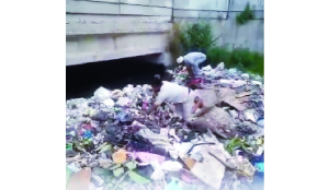 A father’s desperate search, a city’s failure: Delhi boy’s search ends in tragedy