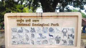 A new window to the wild: Inside Delhi zoo’s big revamp