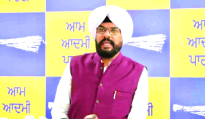 AAP blames Union Govt for Punjab power crisis