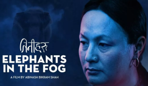 Abinash Bikram Shah's 'Elephants in the Fog' selected as Nepal's entry for Oscars 2027