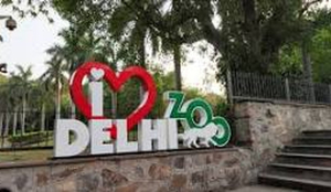 Activist alleges illegal slaughter at Delhi zoo; authority denies claim