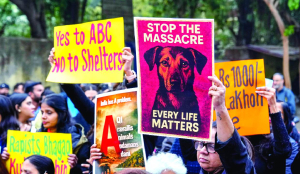 Activists protest over SC’s order on street dogs