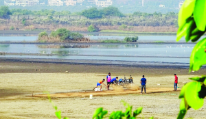 Activists seek protection of 23,000 wetlands in Maharashtra