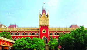 Adults have right to choose their life partners, says Calcutta HC