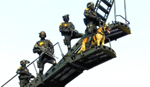 Ahead of BRICS, Delhi’s anti-terror response gets a live rehearsal