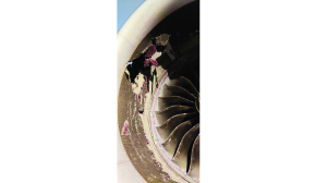 AI plane ingests baggage container in fog