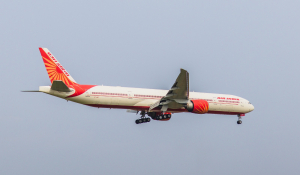 Air India faces bird hit mid flight