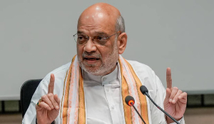Amit Shah directs demographic change panel to study population shifts in border districts