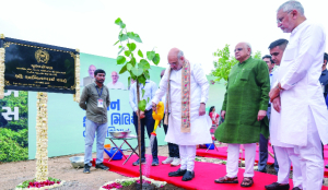 Amit Shah hails Gandhinagar’s Guinness record in tree plantation