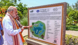 HM Amit Shah reaffirms government’s resolve to identify and deport illegal immigrants