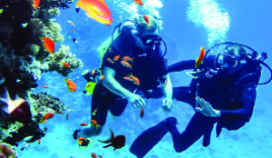 Andamans eye two Guinness World Records for scuba tourism