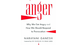 Anger covers more ground than its title suggests and delves deep
