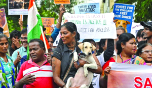 Animal rights groups' protest on June 13 against SC order