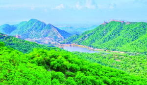 Aravalli committee seeks public inputs, suggestions