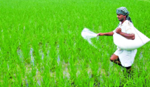 Are states superseding the centre in agro-input regulation?
