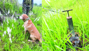 Army neutralises suspected explosive in Manipur