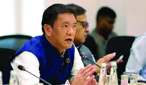 Arunachal achieves 100 per cent home electrification: CM