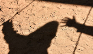 Arunachal Pradesh: 70-year-old woman allegedly sexually assaulted, man arrested