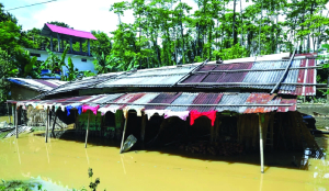 As Assam flood situation improves, power restoration continues