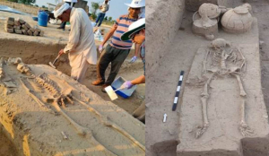ASI transfers Rakhigarhi skeletal remains to Anthropological Survey of India for advanced scientific study