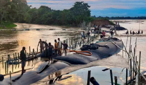 Assam flood toll climbs to 105 as situation eases, over 32,000 still affected