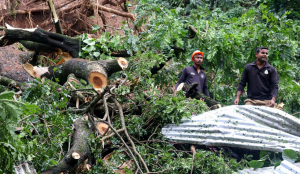 Assam Floods: Death toll rises to 11; over 3 lakh affected