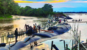 Assam needs over Rs 1,000 crore for flood relief: Himanta