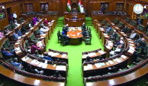 Assembly sets July 31 deadline on health audit action