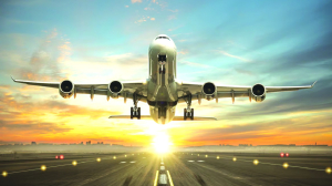 Aviation stocks fly high