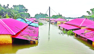 Bangladesh PM paves way for flood protection infra in Sylhet