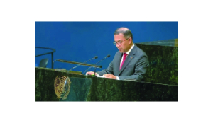 Bangladesh PM UN action and support for Rohingya crisis